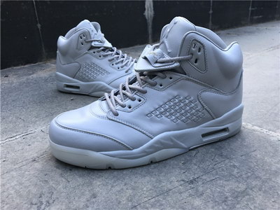 Air Jordan 5 Pure Platinum