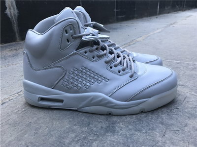 Air Jordan 5 Pure Platinum