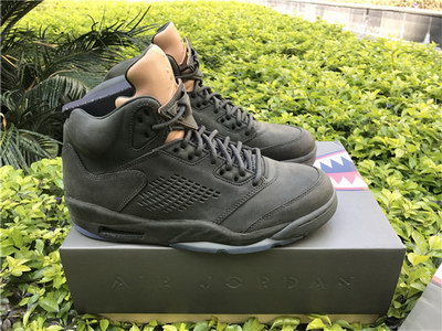 Air Jordan 5 Take Flight