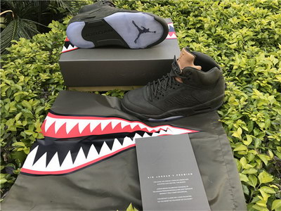 Air Jordan 5 Take Flight