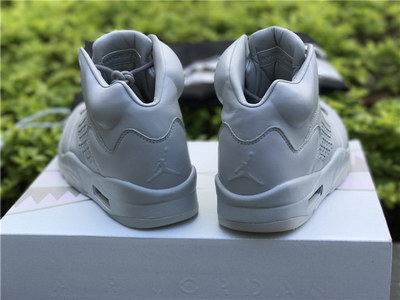 Air Jordan 5 Pure Platinum