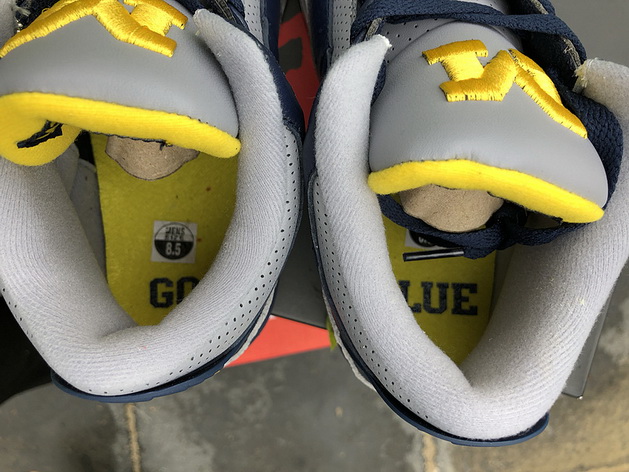 Air Jordan 3 Michigan PE