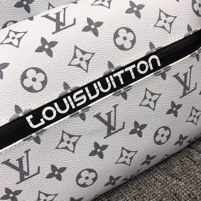 LV Backpack(AAA)-008