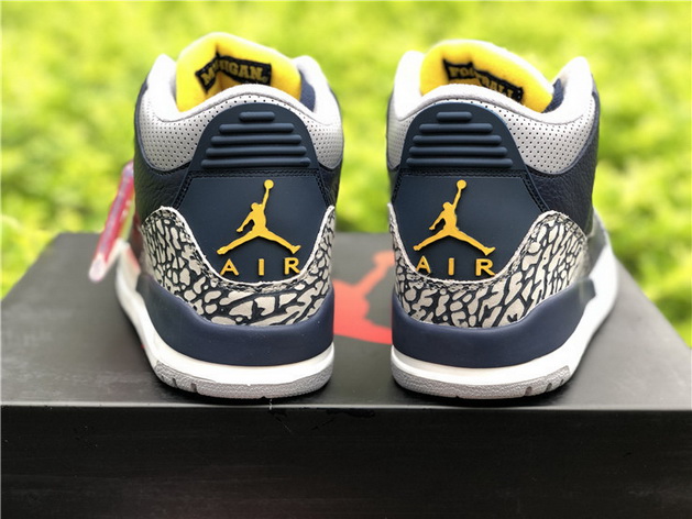 Air Jordan 3 Michigan PE