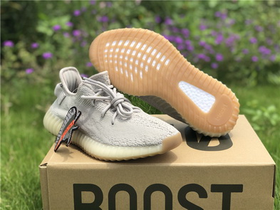 authentic ad*s Y**zy 350 boost v2-029