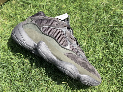 authentic ad*s Y**zy 500-002