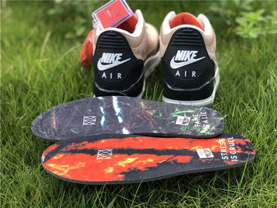 Air Jordan 3 JTH “Bio Beige”