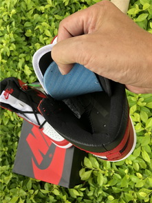 Air jordan 1 “Homage To Home” (women)