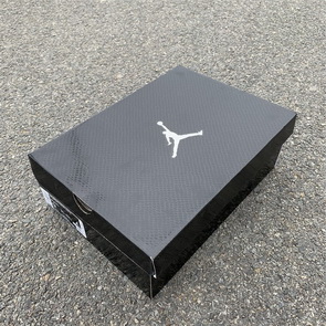 Air Jordan 11 Low “Snakeskin”