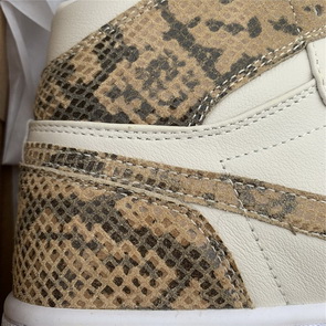 Air Jordan 1 Hi Premium