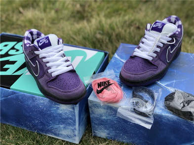 Nike Dunk SB-001