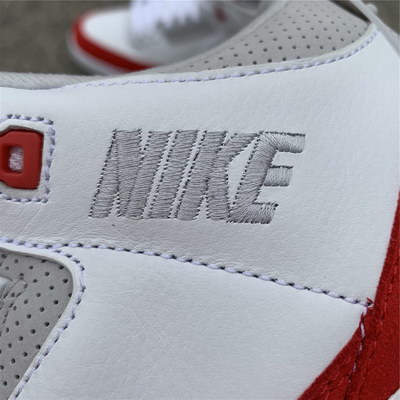 Air Jordan 3 Tinker