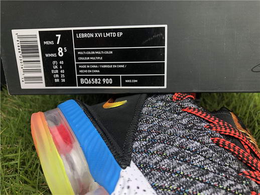 Authentci Lebron XVI LMTD EP-006