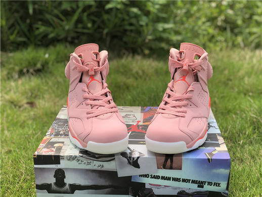 Air Jordan 6 “Aleali May”
