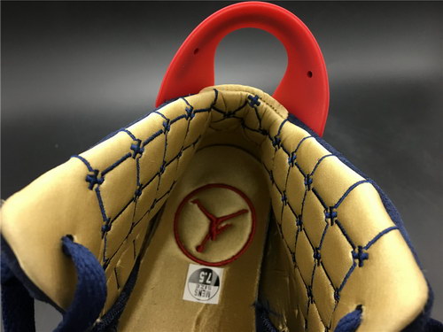 Air Jordan 6 DB 2019