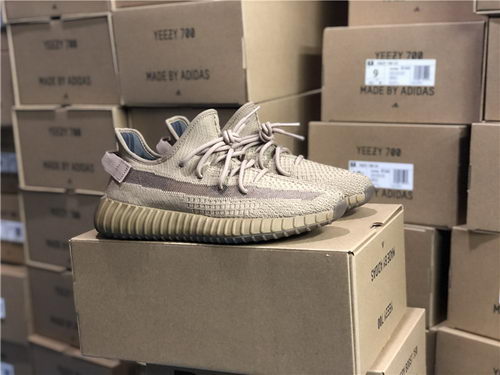 authentic ad*s Y**zy 350 v2-016