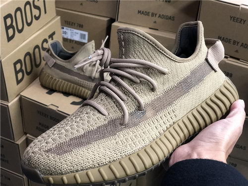 authentic ad*s Y**zy 350 v2-016