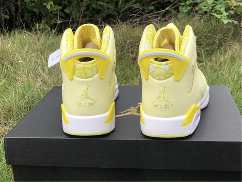 Air Jordan 6 GS “Floral”