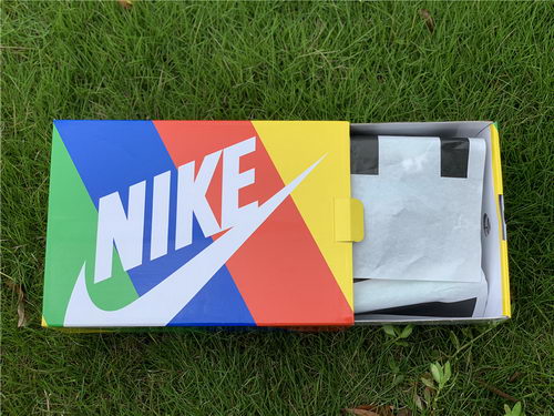 Authentic Sacai x Nike LDV Waffle-006