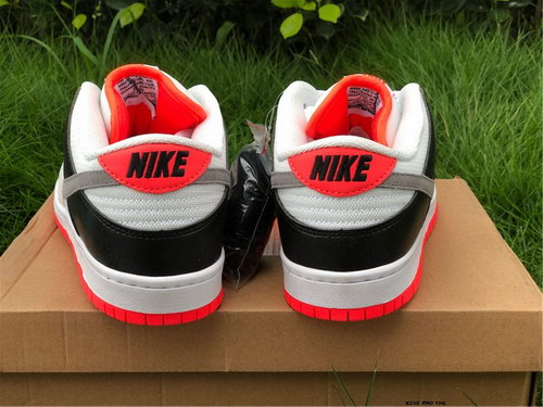 Nike Dunk SB Low Pro ISO