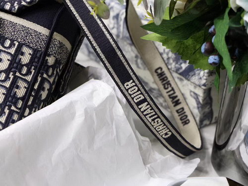 D*or handbags aaaa(men)-002