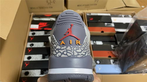 Air Jordan 3``Cool Gray