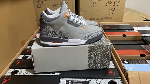Air Jordan 3``Cool Gray