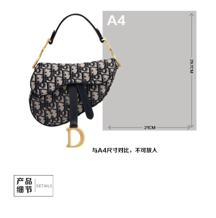 D*or handbags aaaa(women)-066