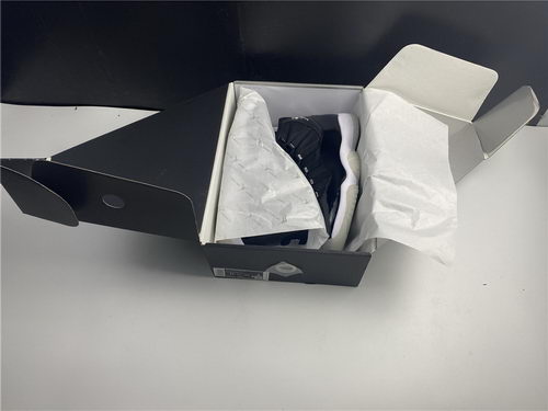 Air Jordan 11 “25th Anniversary”(Best)