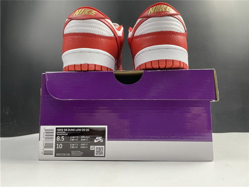 Nike SB Dunk Low-050