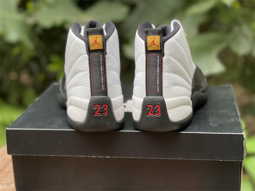 Air Jordan 12 playoffs