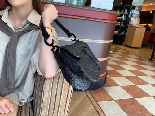 D*or handbags aaaa(women)-093