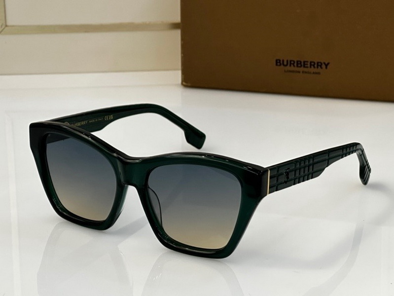 B**rry sunglasses(aaaa)-910