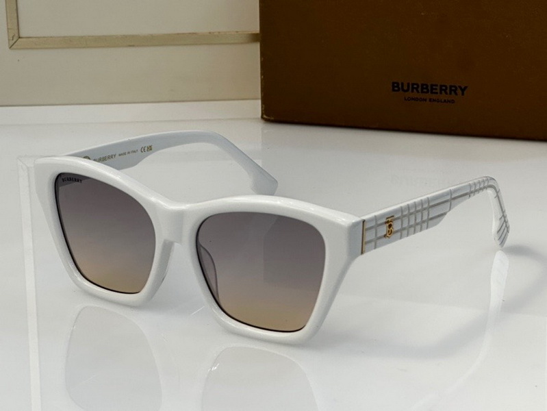 B**rry sunglasses(aaaa)-908
