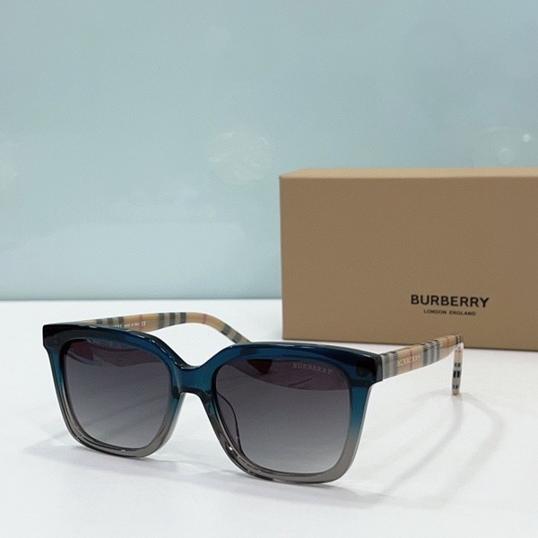B**rry sunglasses(aaaa)-798