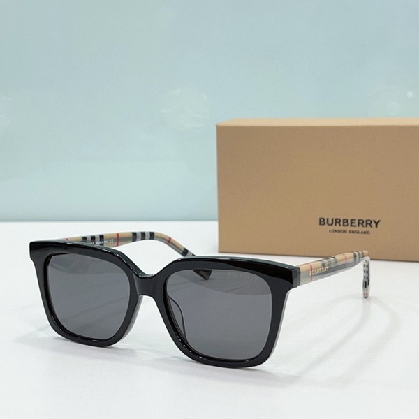 B**rry sunglasses(aaaa)-795