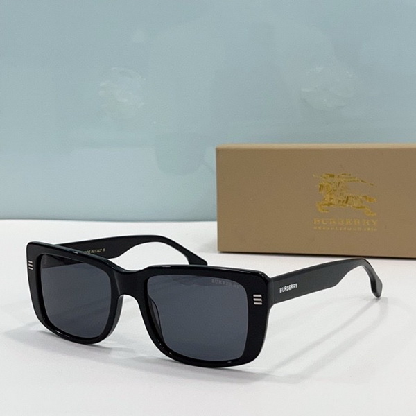 B**rry sunglasses(aaaa)-780