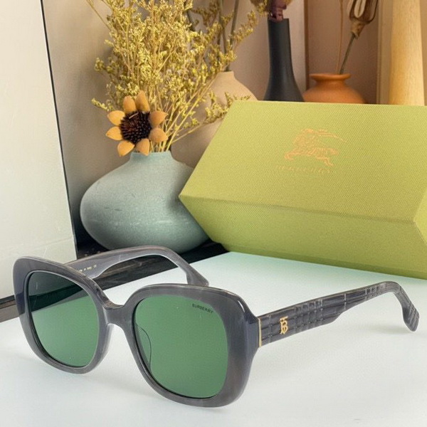 B**rry sunglasses(aaaa)-698