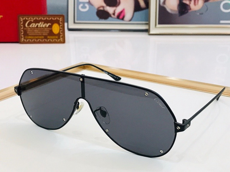 Ca*t*er sunglasses(aaaa)-1295