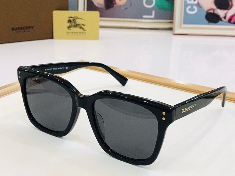 B**rry sunglasses(aaaa)-563