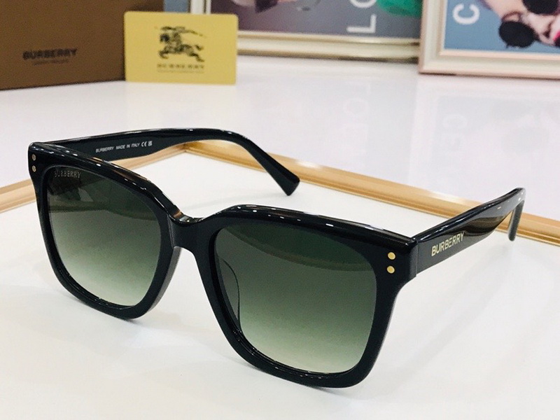 B**rry sunglasses(aaaa)-559
