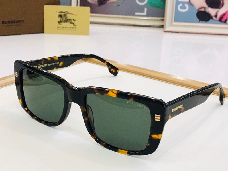 B**rry sunglasses(aaaa)-555