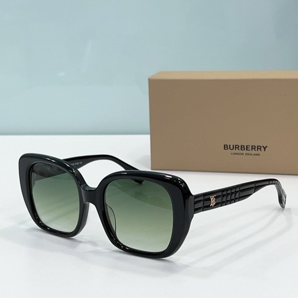 B**rry sunglasses(aaaa)-544