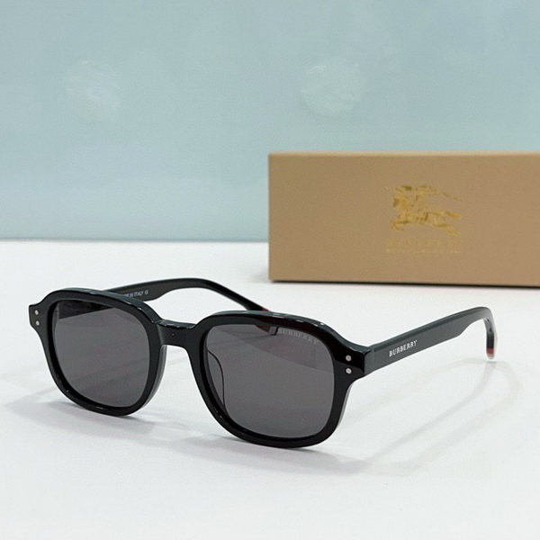 B**rry sunglasses(aaaa)-534