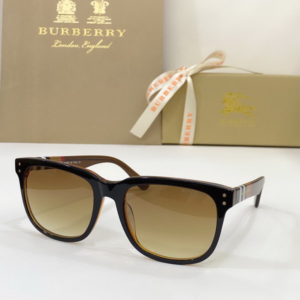 B**rry sunglasses(aaaa)-520