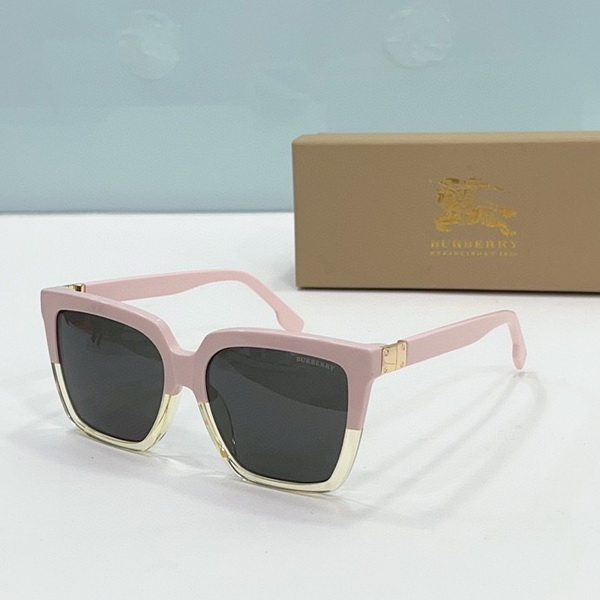 B**rry sunglasses(aaaa)-499