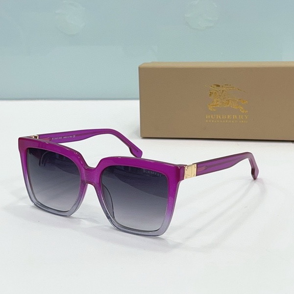 B**rry sunglasses(aaaa)-495