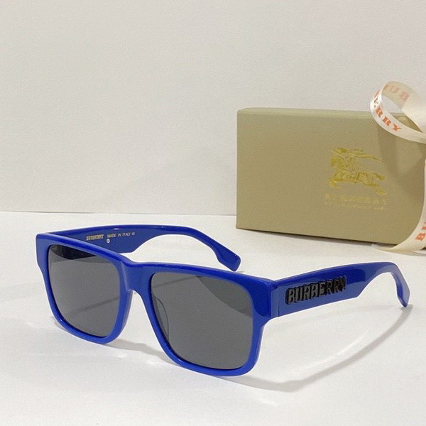 B**rry sunglasses(aaaa)-489