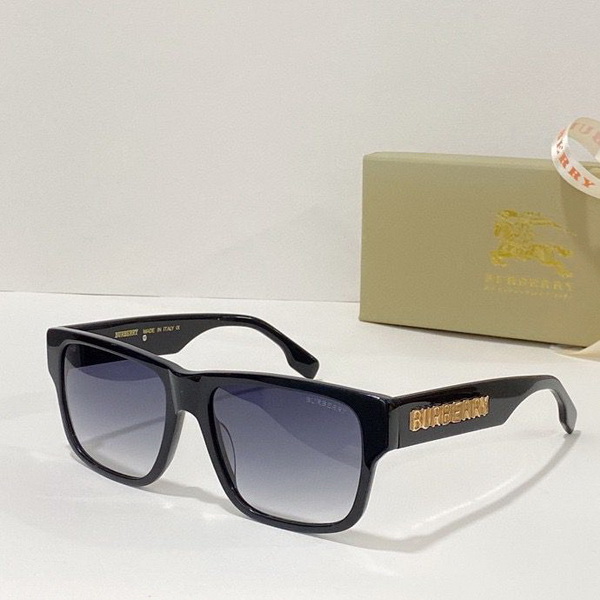 B**rry sunglasses(aaaa)-485