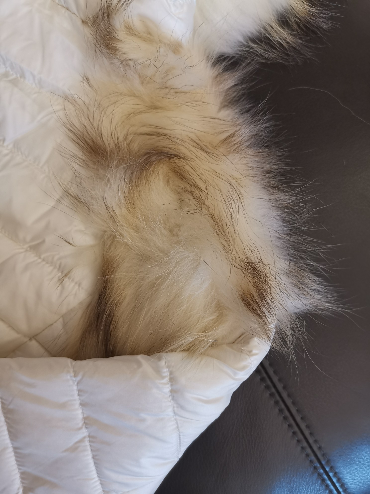 Moncler Coat(Women)-065